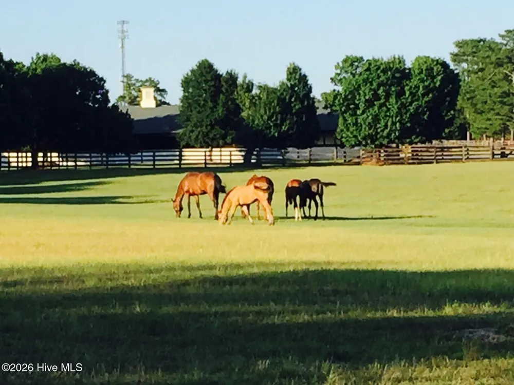 Tbd Addor Road Aberdeen, NC 28315