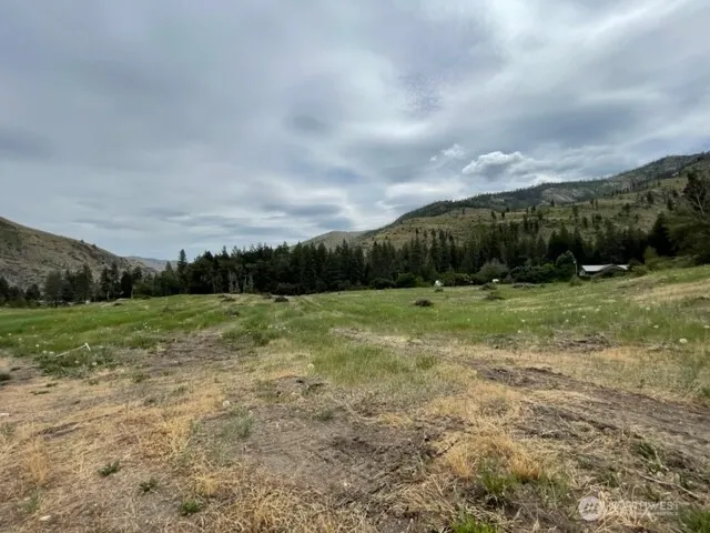 4 Lot 4 - Black Canyon Road Pateros, WA 98846