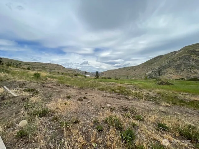 4 Lot 4 - Black Canyon Road Pateros, WA 98846
