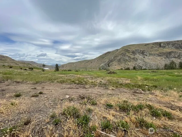 4 Lot 4 - Black Canyon Road Pateros, WA 98846