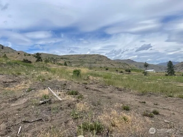 4 Lot 4 - Black Canyon Road Pateros, WA 98846