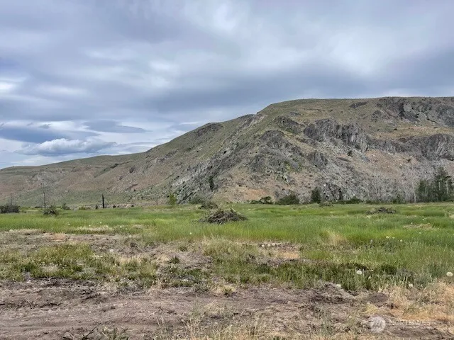4 Lot 4 - Black Canyon Road Pateros, WA 98846