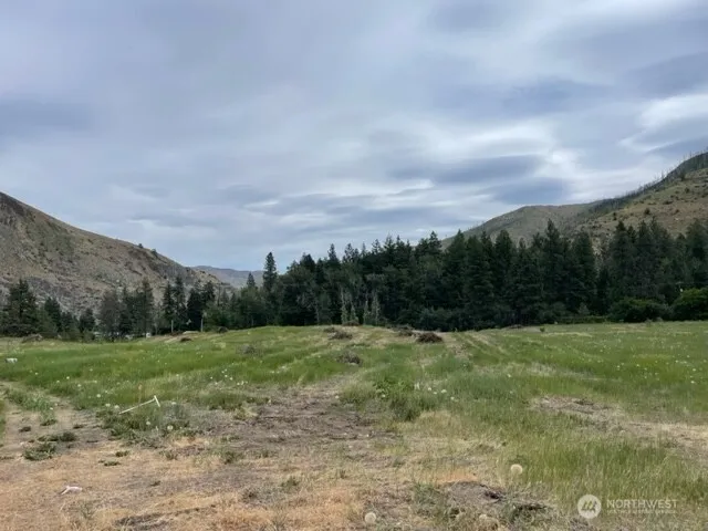 4 Lot 4 - Black Canyon Road Pateros, WA 98846