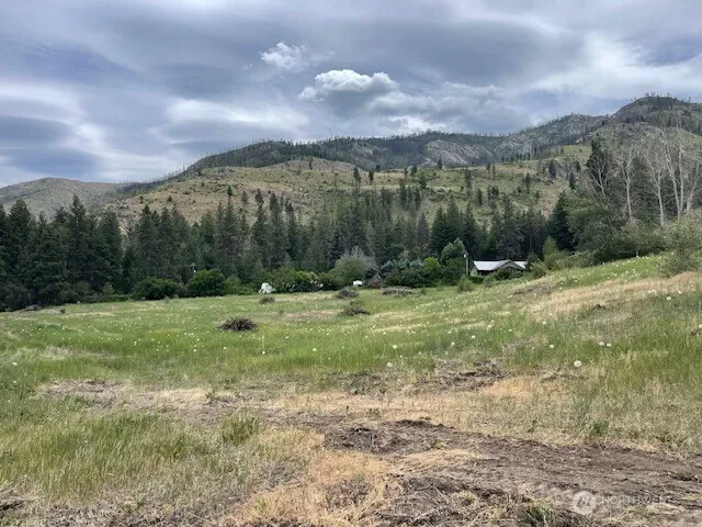 4 Lot 4 - Black Canyon Road Pateros, WA 98846