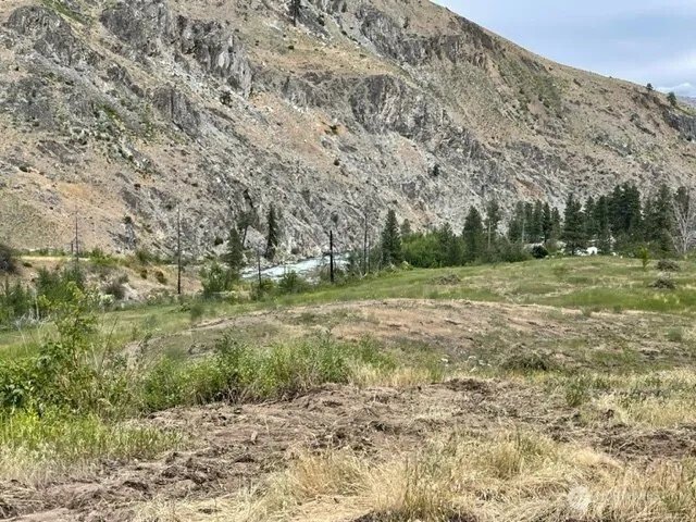 4 Lot 4 - Black Canyon Road Pateros, WA 98846