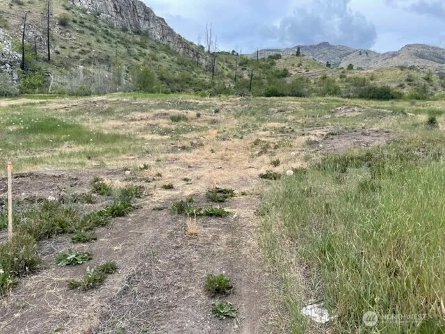 4 Lot 4 - Black Canyon Road Pateros, WA 98846