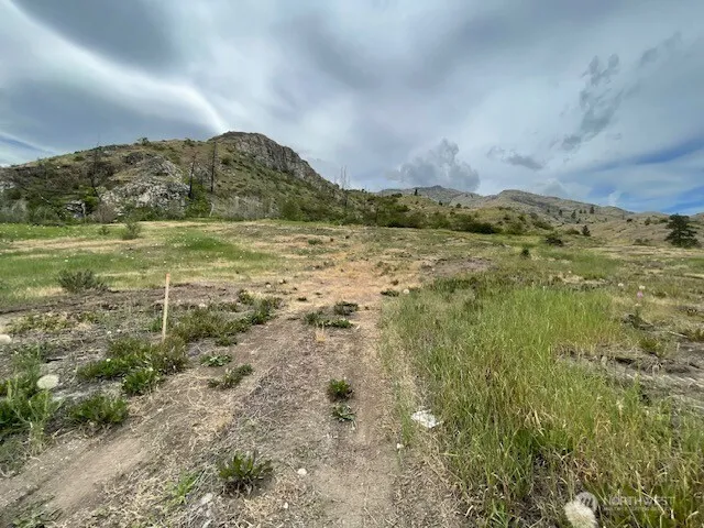 4 Lot 4 - Black Canyon Road Pateros, WA 98846