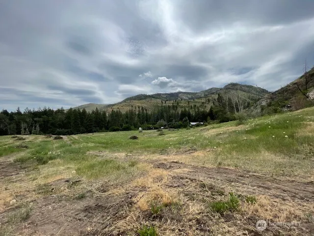 4 Lot 4 - Black Canyon Road Pateros, WA 98846
