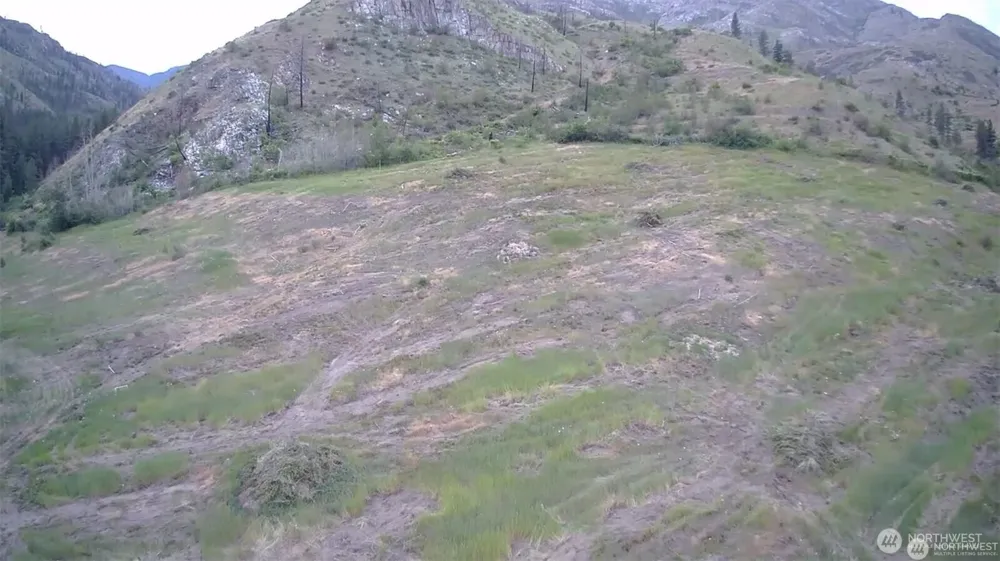 4 Lot 4 - Black Canyon Road Pateros, WA 98846