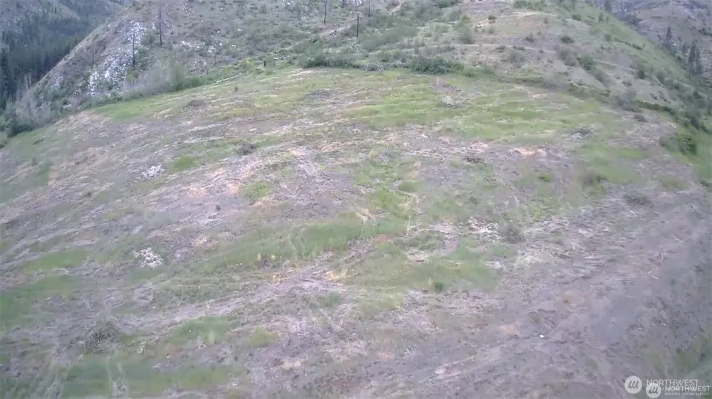 4 Lot 4 - Black Canyon Road Pateros, WA 98846