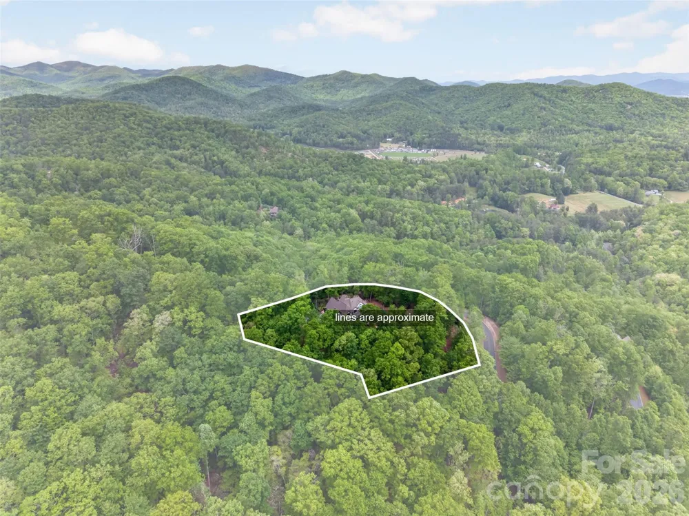 671 Mills River Way Horse Shoe, NC 28742