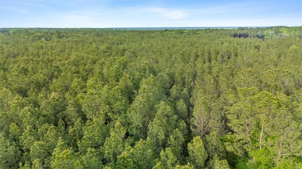 222 Tbd Fm 222 Shepherd, TX 77371