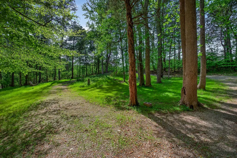 305 Caney Bend Rd Doyle, TN 38559