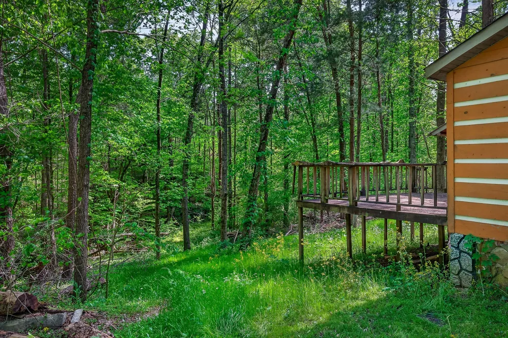 305 Caney Bend Rd Doyle, TN 38559