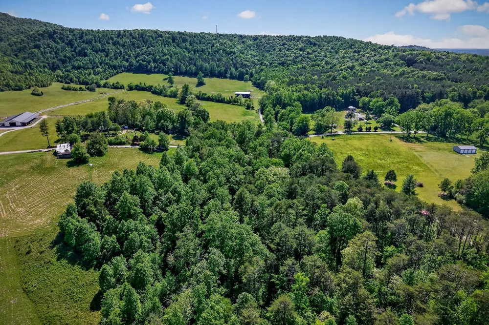 305 Caney Bend Rd Doyle, TN 38559