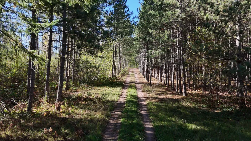 xxx Mann Road Spooner, WI 54801
