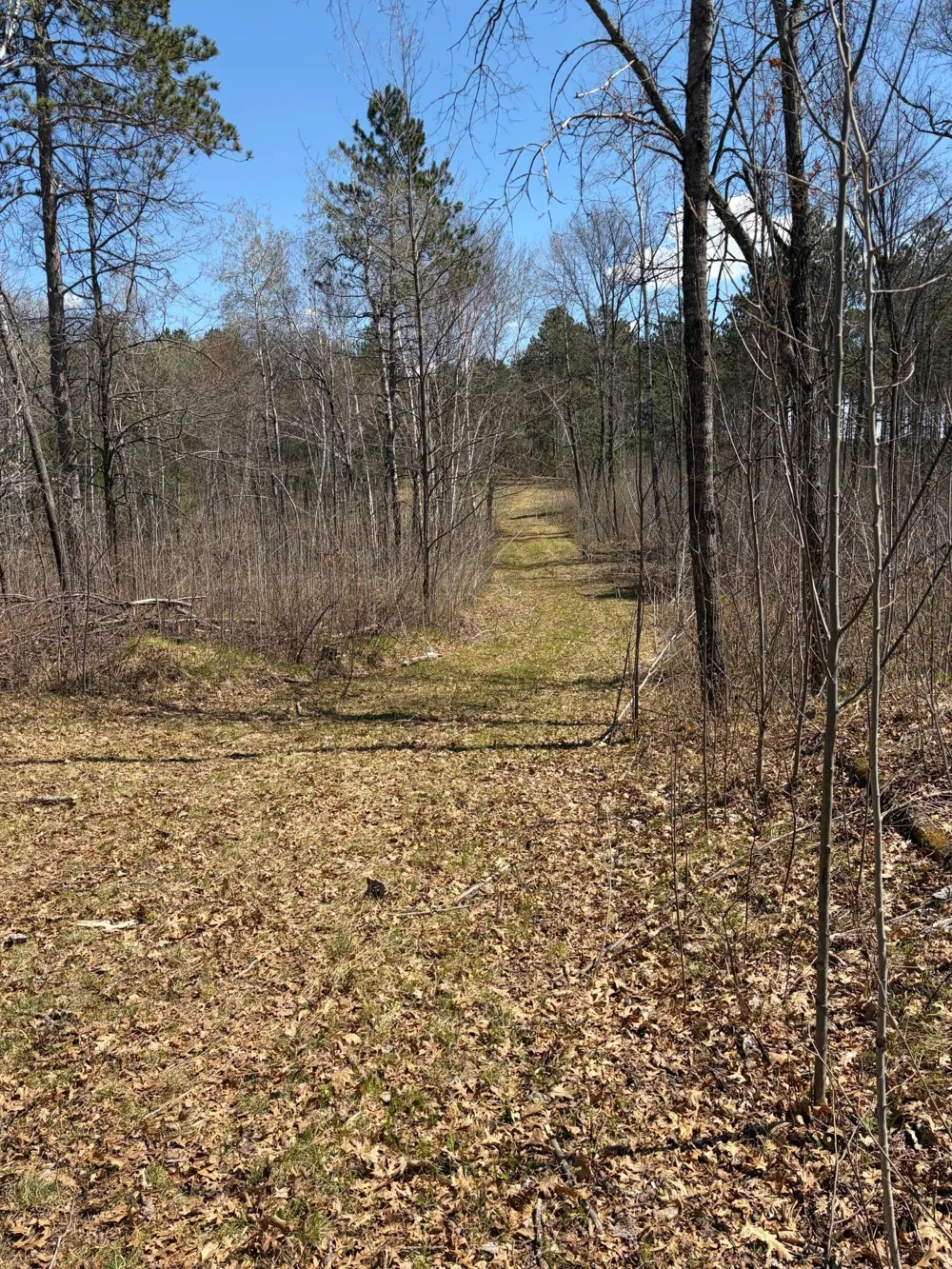 xxx Mann Road Spooner, WI 54801