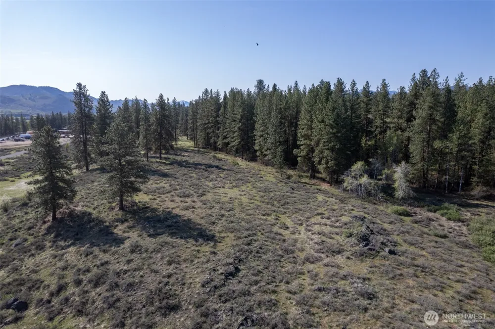 9 TBD Cascadian Way Winthrop, WA 98862