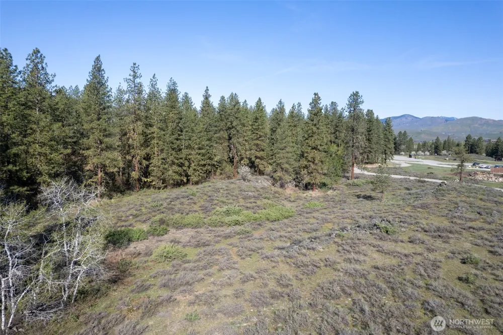 9 TBD Cascadian Way Winthrop, WA 98862