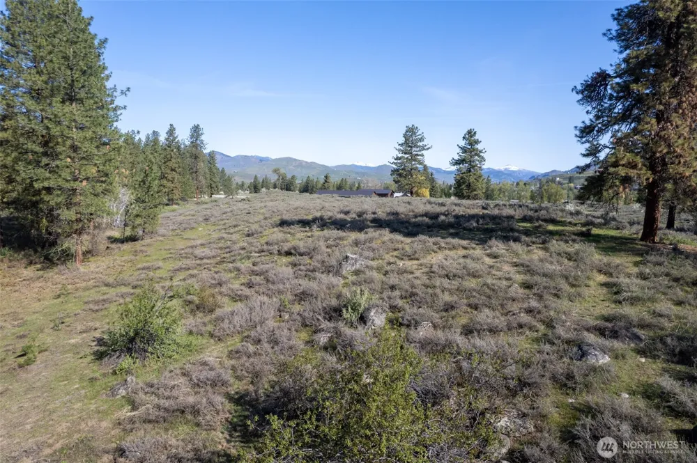 9 TBD Cascadian Way Winthrop, WA 98862