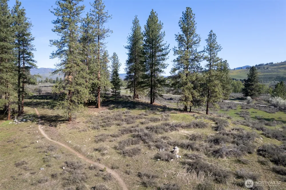 9 TBD Cascadian Way Winthrop, WA 98862