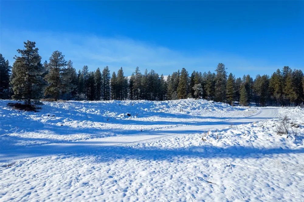 9 TBD Cascadian Way Winthrop, WA 98862
