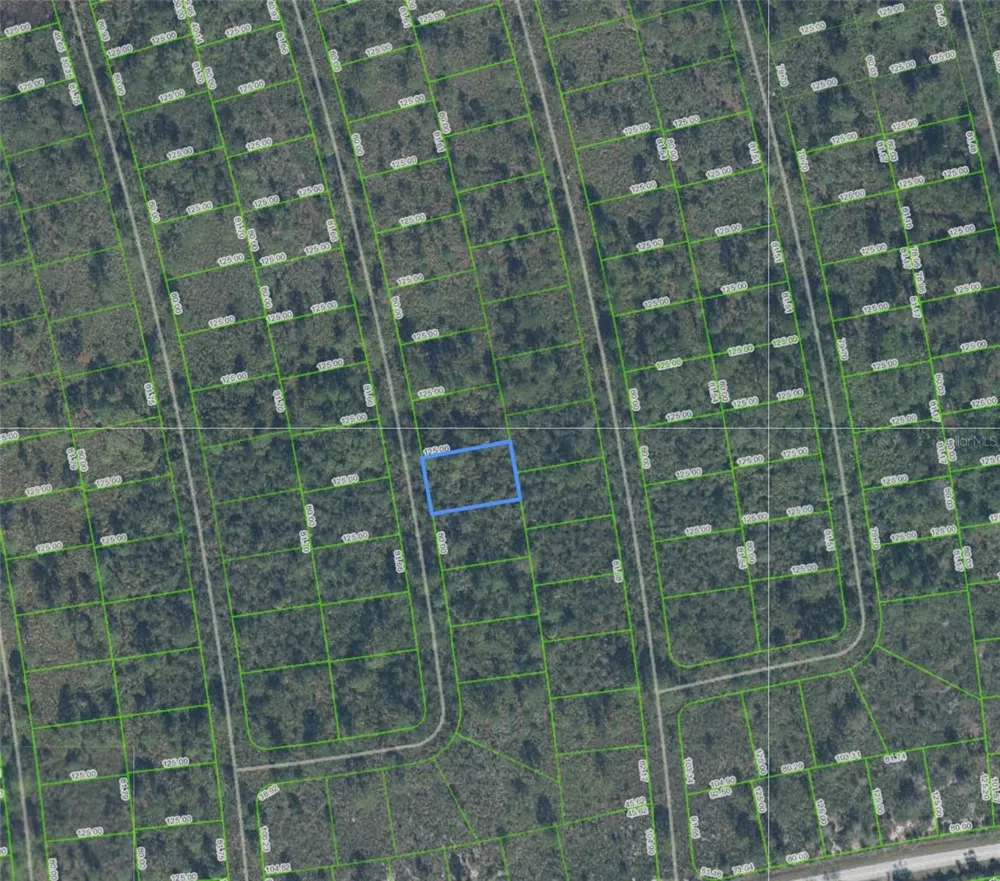 4336 SAN PEDRO DRIVE Sebring, FL 33872
