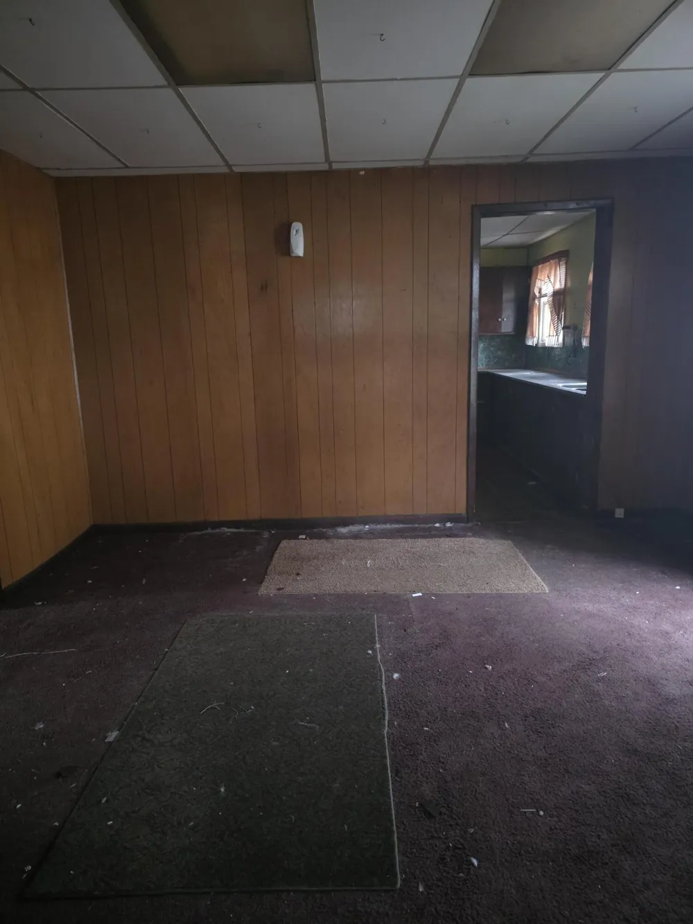 113 W Walnut Street Albion Township, MI 49224