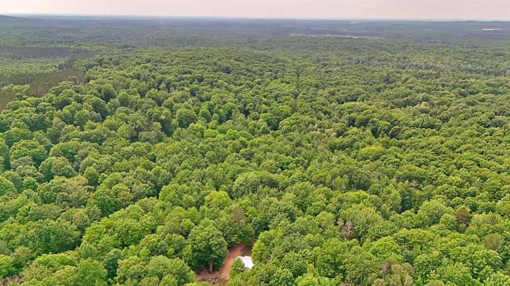 Cherry Hill Road Orange Township, MI 49633