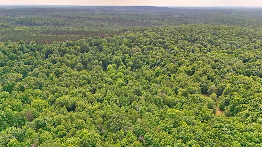 Cherry Hill Road Orange Township, MI 49633