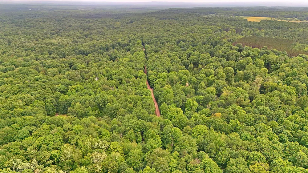 Cherry Hill Road Orange Township, MI 49633