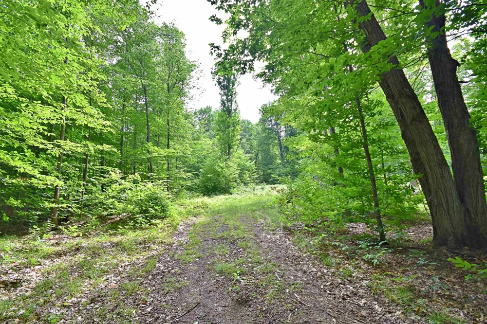 Cherry Hill Road Orange Township, MI 49633
