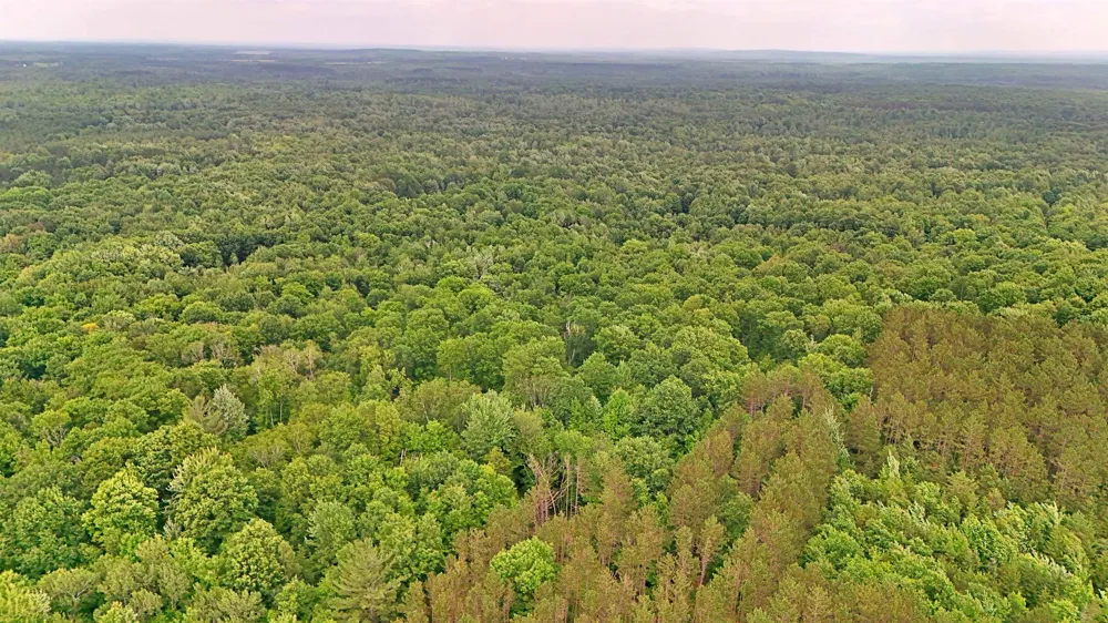 Cherry Hill Road Orange Township, MI 49633