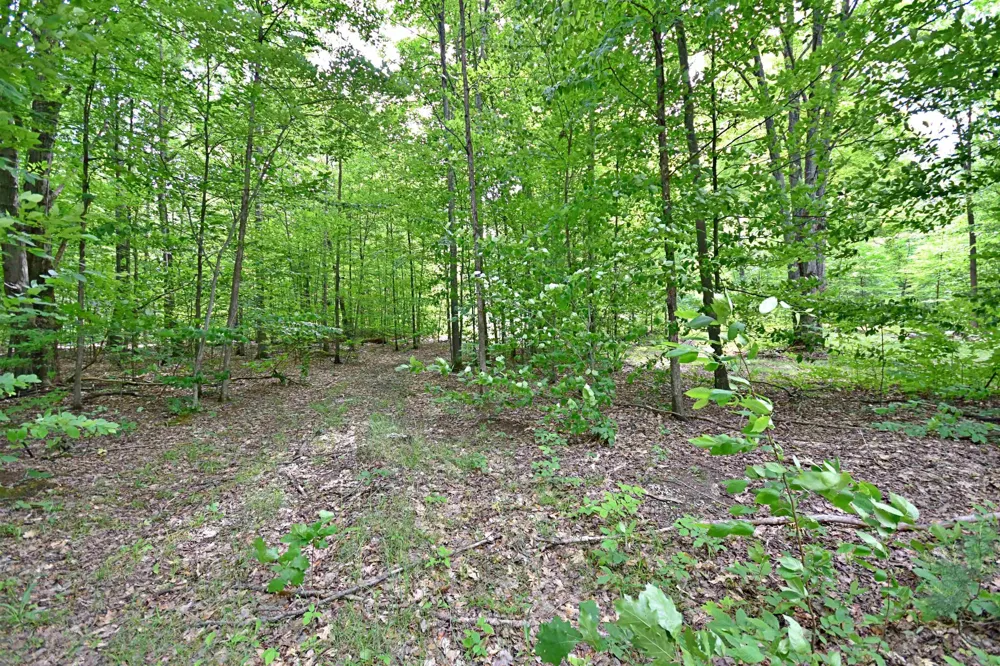 Cherry Hill Road Orange Township, MI 49633