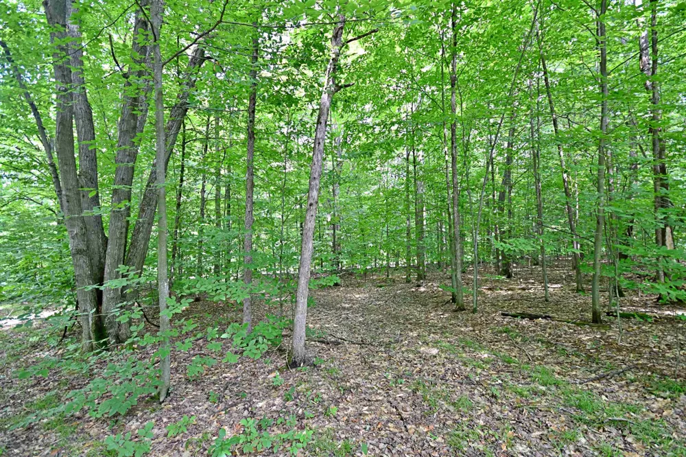 Cherry Hill Road Orange Township, MI 49633