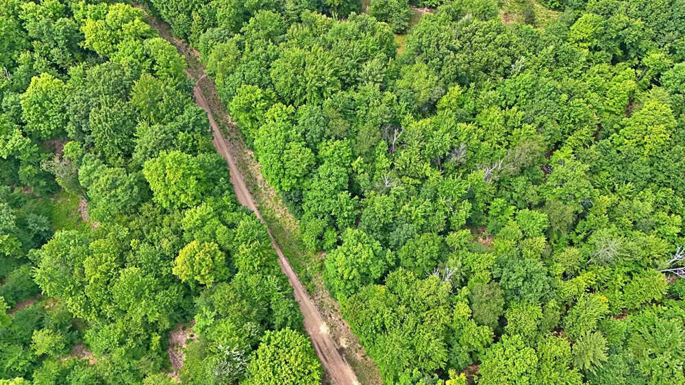 Cherry Hill Road Orange Township, MI 49633