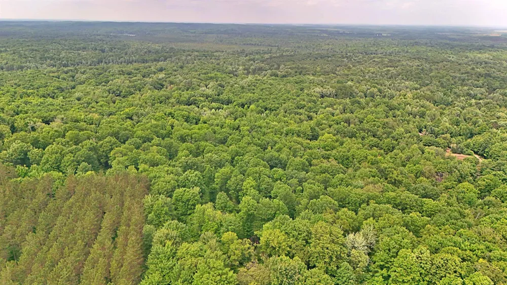 Cherry Hill Road Orange Township, MI 49633