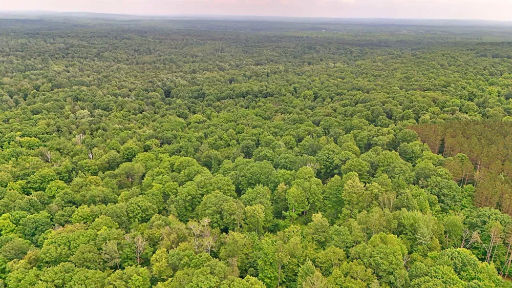 Cherry Hill Road Orange Township, MI 49633