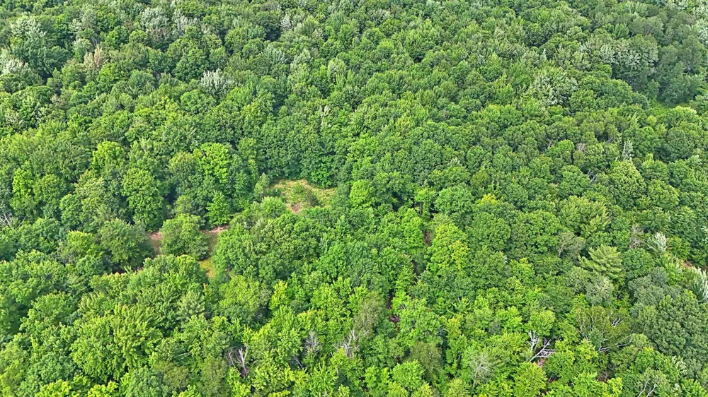 Cherry Hill Road Orange Township, MI 49633