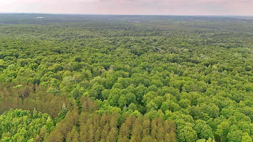 Cherry Hill Road Orange Township, MI 49633