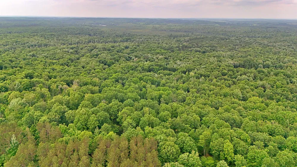 Cherry Hill Road Orange Township, MI 49633
