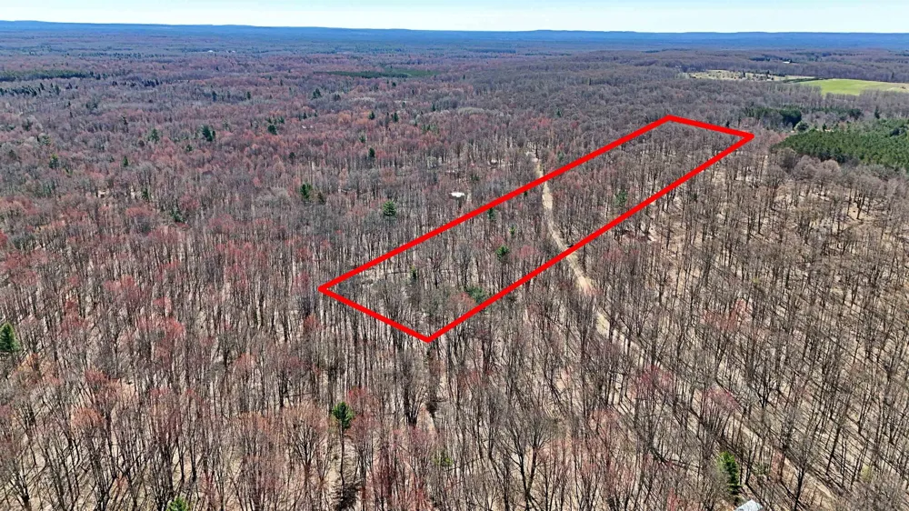Cherry Hill Road Orange Township, MI 49633