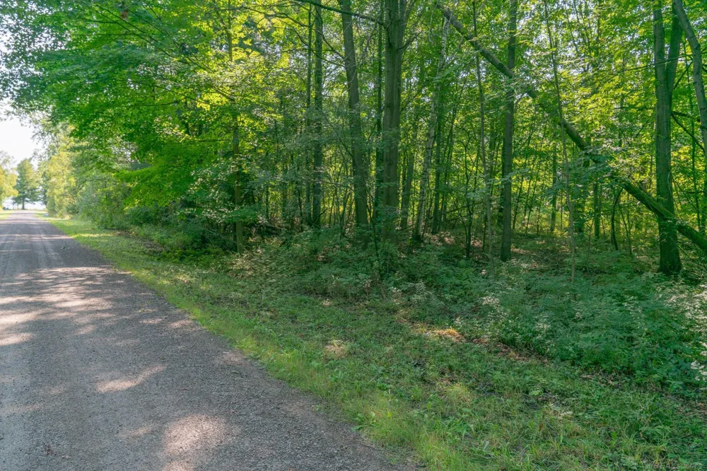 Schott Road Sand Beach Township, MI 48441