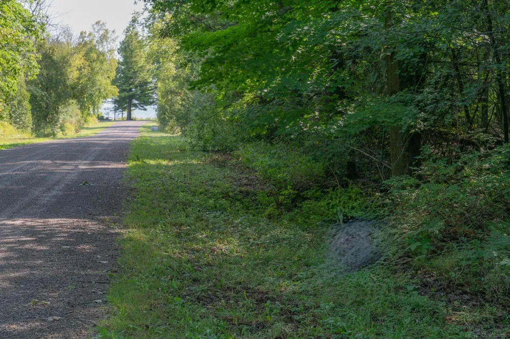 Schott Road Sand Beach Township, MI 48441