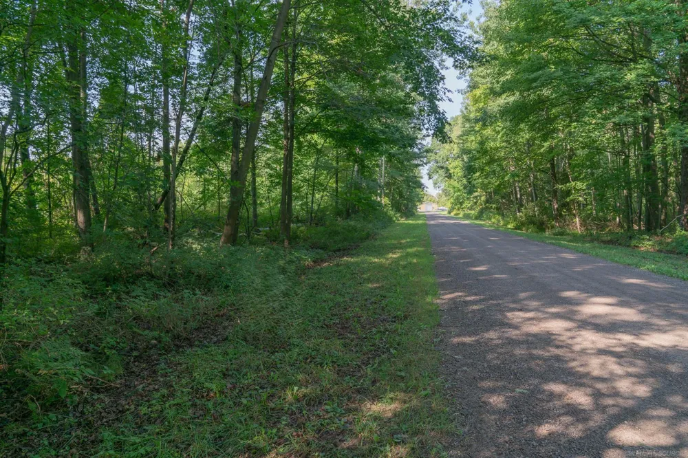 Schott Road Sand Beach Township, MI 48441
