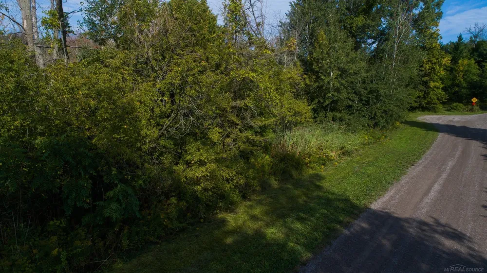 Lakeview Drive Sand Beach Township, MI 48441
