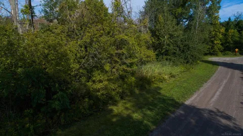 Lakeview Drive