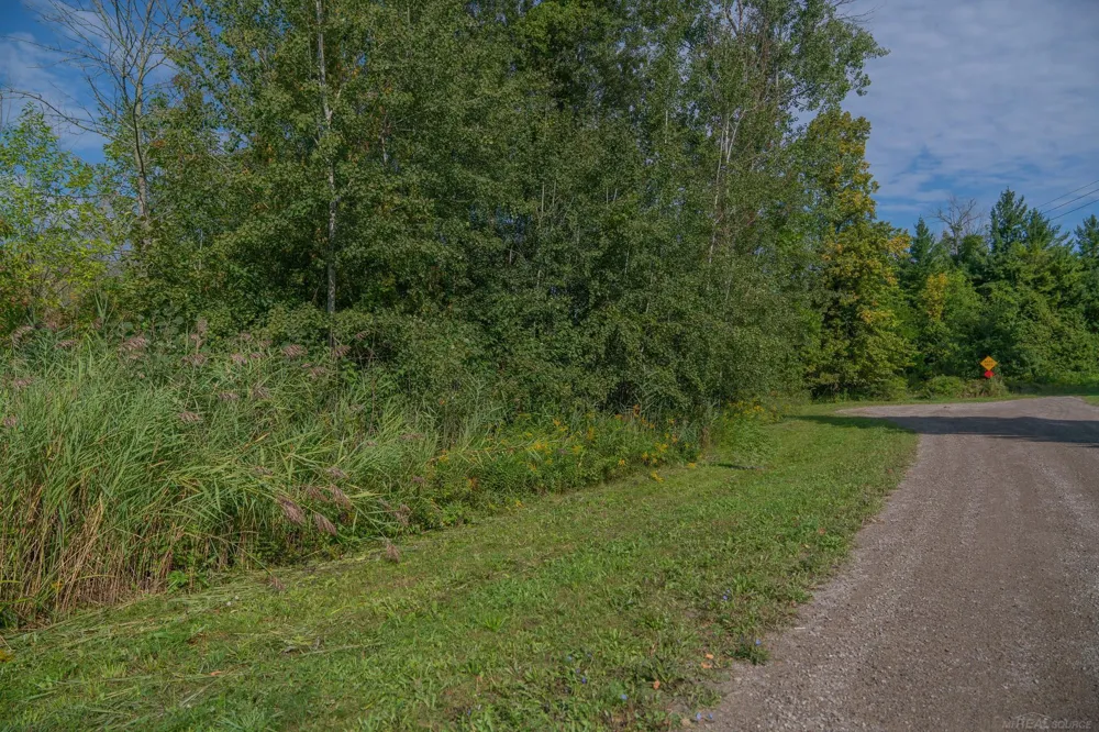 Lakeview Drive Sand Beach Township, MI 48441