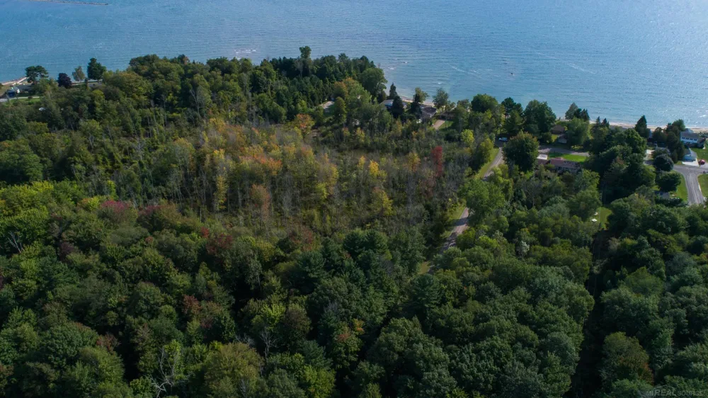 Lakeview Drive Sand Beach Township, MI 48441