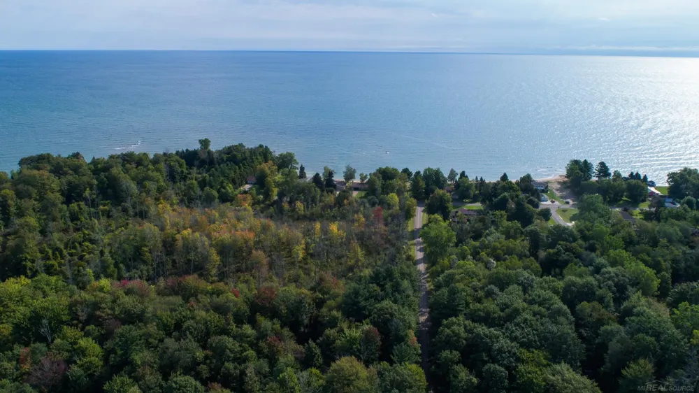 Lakeview Drive Sand Beach Township, MI 48441